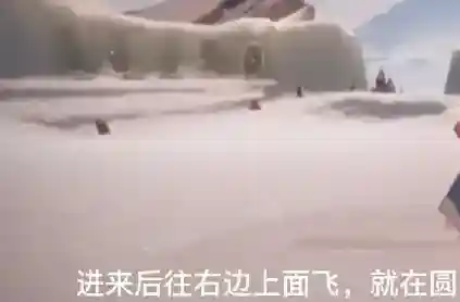 光遇小树苗
