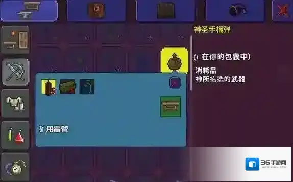 泰拉瑞亚玩家