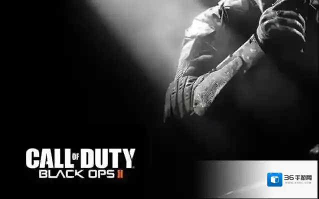 cod9打不开怎么办 相关解决方法介绍
