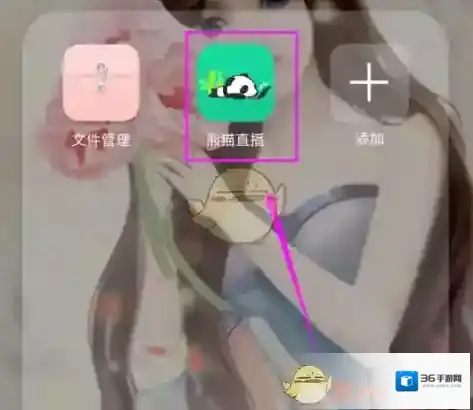 熊猫直播如图