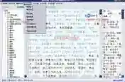 国学大师(国学经典)软件2025-国学大师(国学经典)官方版Windowsv3.3