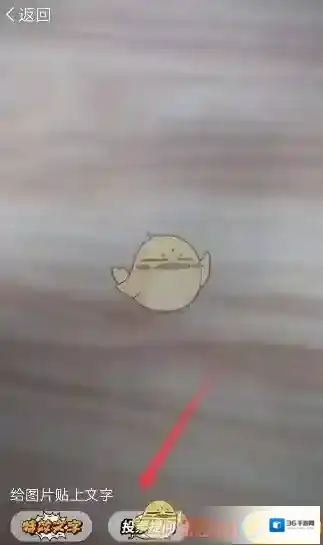 DOV照片