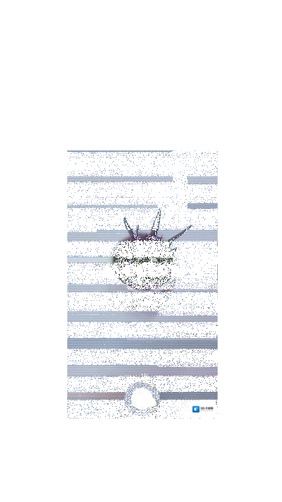DOV好友