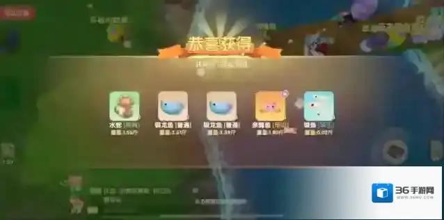 摩尔庄园鱼饵
