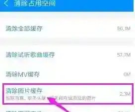 《酷狗音乐》图片缓存清除方法