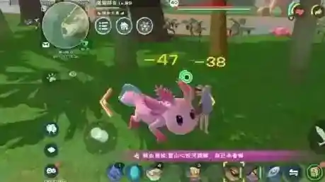 创造与魔法顽皮蝾螈几级
