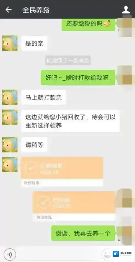 全民养猪长得