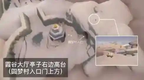 光遇雨林