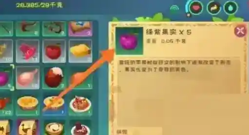 创造与魔法饲料