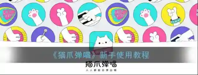 《猫爪弹唱》新手使用教程