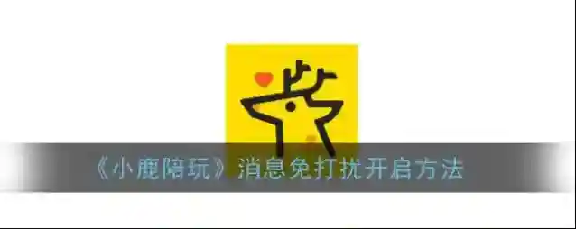 《小鹿陪玩》消息免打扰开启方法