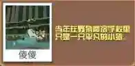 疯狂动物园美美