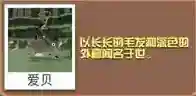 疯狂动物园图鉴