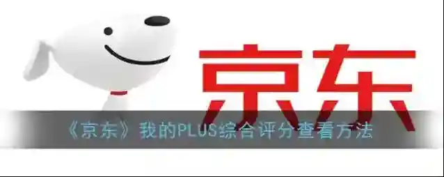 京东选项