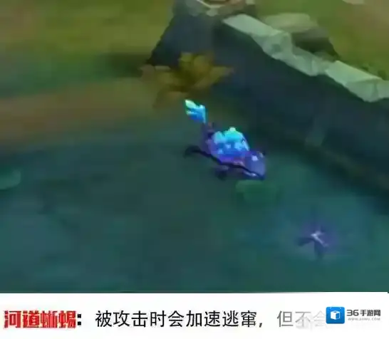 王者荣耀河蟹