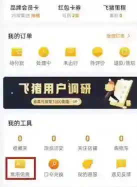 飞猪旅行信息