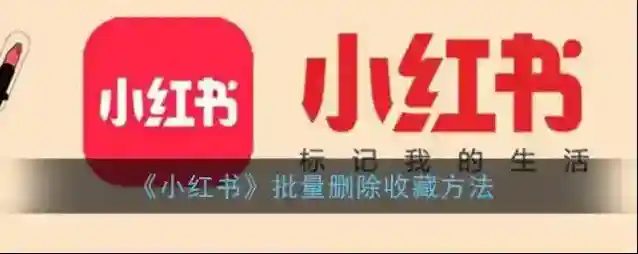 小红书笔记