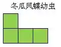 黑暗料理王冬瓜