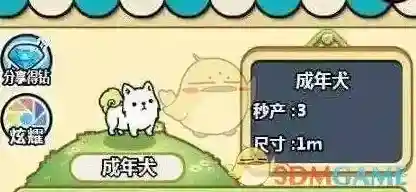 微信成年犬