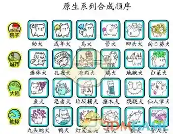 微信院子