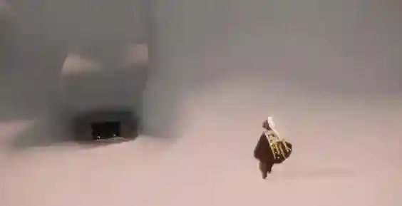 光遇红色