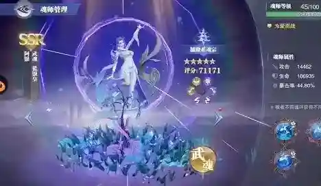 斗罗大陆：魂师对决魂环