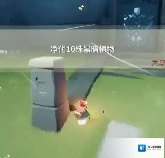 光遇先祖