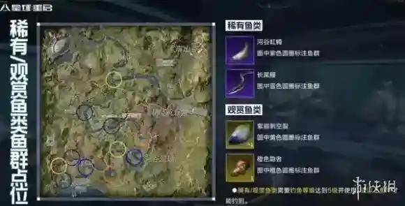 星球重启鱼群