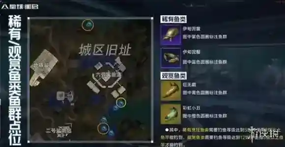 星球重启稀有