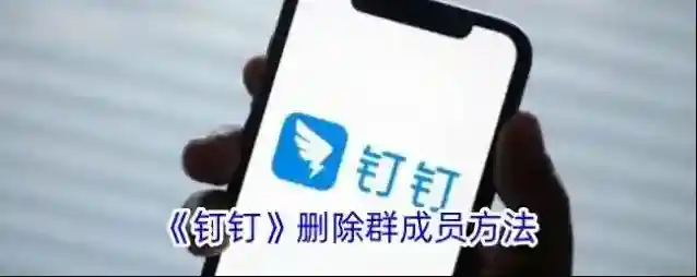 钉钉群成员