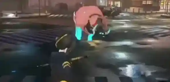 猫之城奶量